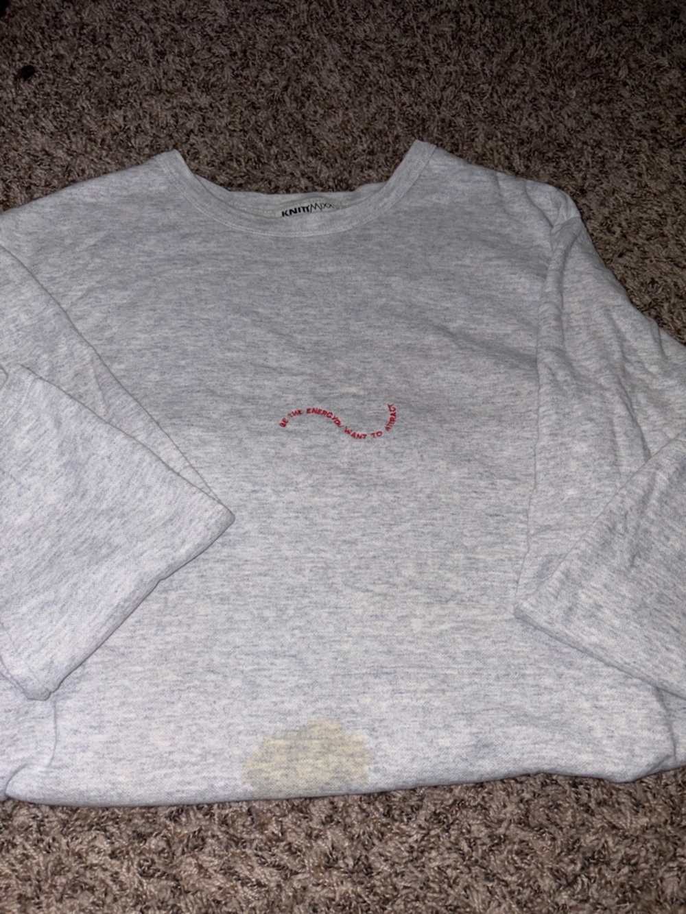 Light Gray Sweatshirt with Red Embroidery